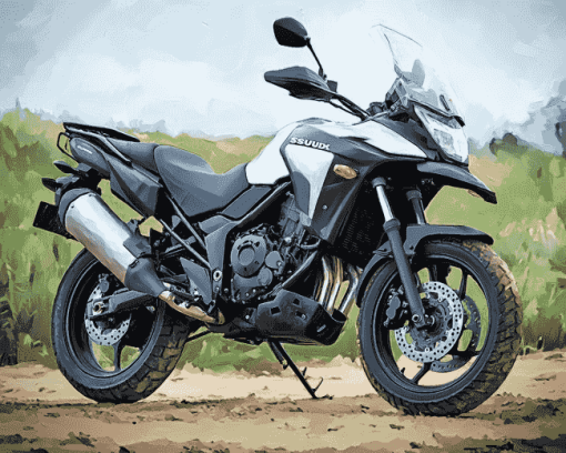 Suzuki DL 650 Adventure Diamond Painting