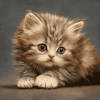 Tabby Persian Kitten Diamond Painting