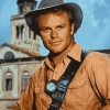 Terence Hill Celebrity Portrait Diamond Painting