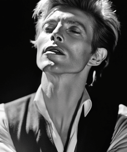 Thin White Duke Monochrome Diamond Painting