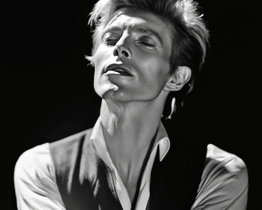 Thin White Duke Monochrome Diamond Painting