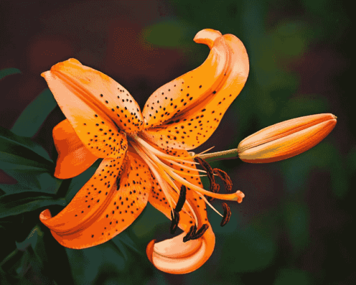 Tiger Lilies Blooms Diamond Painting