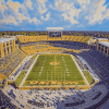 Tiger Stadium Highlights Diamond Painting