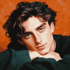 Timothee Chalamet Celebrity Diamond Painting