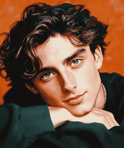 Timothee Chalamet Celebrity Diamond Painting