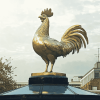 Tottenham Cockerel Statue Diamond Painting