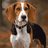 Treeing Walker Coonhound Puppies Diamond Painting