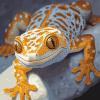 True Gecko Reptiles Diamond Painting