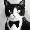 Tuxedo Cat Beauty Diamond Painting