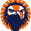 University Illiniwek Logo Diamond Painting