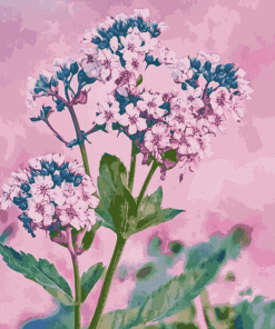 Valerian Blossoms Diamond Painting