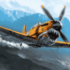 Vintage Curtiss P 40 Warhawk Diamond Painting