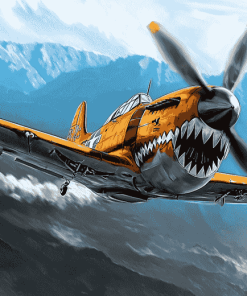 Vintage Curtiss P 40 Warhawk Diamond Painting