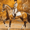 Vintage Dressage Horse Rider Diamond Painting