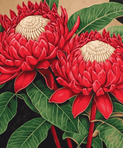 Waratah Blossoms Diamond Painting