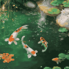 Water Lilies and Koi Fish Diamond Painting