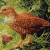 Weka Bird Diamond Painting