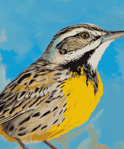 Western Meadowlark Birds Diamond Painting