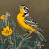 Western Meadowlark Diamond Painting