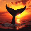 Whale Tail Silhouette Diamond Painting