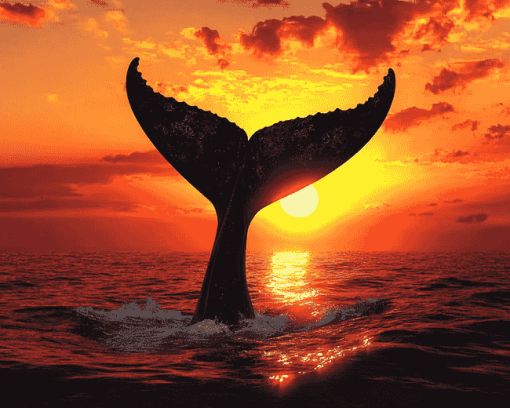 Whale Tail Silhouette Diamond Painting