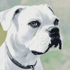 White Boxer Puppy Diamond Painting