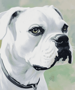 White Boxer Puppy Diamond Painting