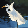 White Egret Bird Diamond Painting