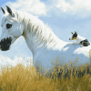 White Horse and Mini Aussie Friendship Diamond Painting