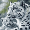 White Leopard and Baby Wildlife Diamond Painting