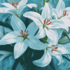 White Lily Blossoms Diamond Painting