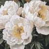 White Peonies Blossoms Diamond Painting