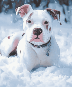 White Staffy in Winter Diamond Painting