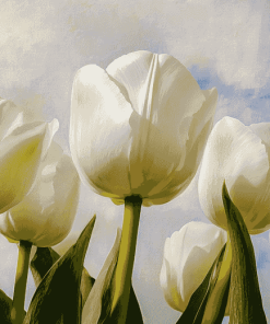 White Tulips Blossom Diamond Painting