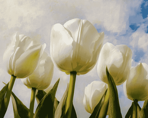 White Tulips Blossom Diamond Painting