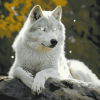 White Wolf Diamond Painting