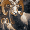 Wild Bighorn Sheep Diamond Painting