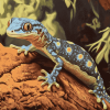 Wild Gecko Reptile Diamond Painting