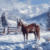 Winter Horses Mountain Scene Diamond Painting