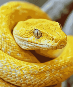 Yellow Snake Diamond Painting