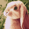 Adorable Bunny Diamond Painting