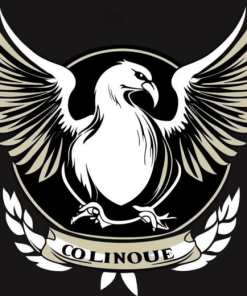 Aesthetic Collingwood Logo Diamond Painting