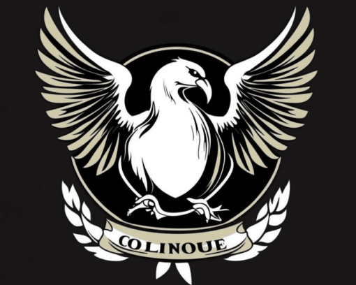 Aesthetic Collingwood Logo Diamond Painting