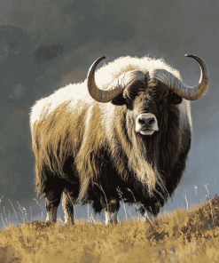 Aesthetic Muskox Diamond Painting