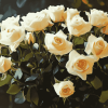 Aesthetic White Roses Diamond Painting