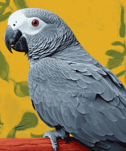 African Grey Bird Diamond Painting