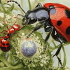 Ant and Ladybug Close-Up Diamond Painting