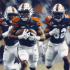 Auburn Tigers Football Spirit Diamond Painting