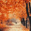 Autumn Walk Landscape Diamond Painting