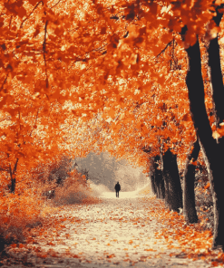 Autumn Walk Landscape Diamond Painting